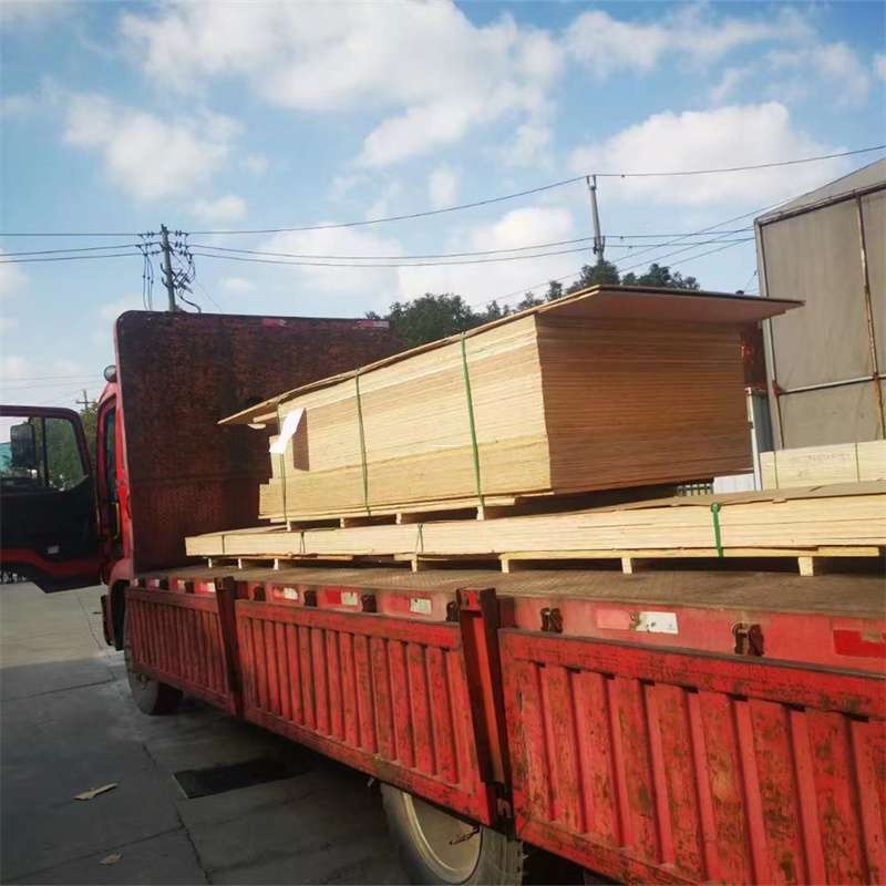 黑龙江绥化明水县至塔城货运专线，一站式物流服务助您成功
